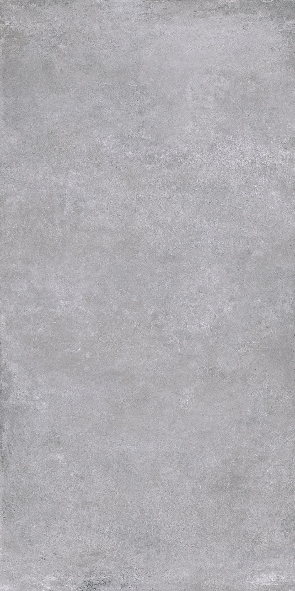 雷霆 花色