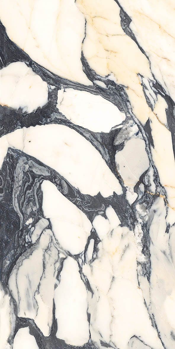 赫本金