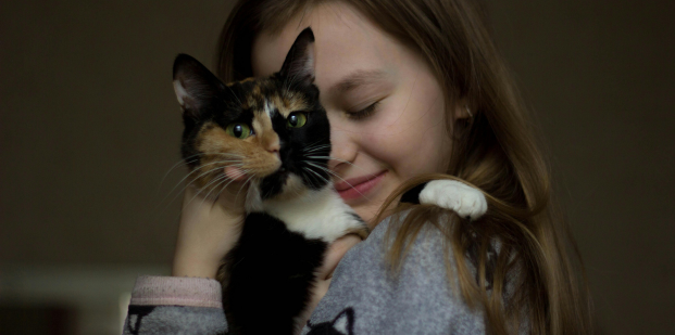 家有毛小孩/小孩怎麼挑地板？耐磨、防滑、健康建材這樣選